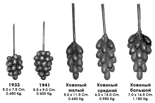 Кованая беседка “Лоза”